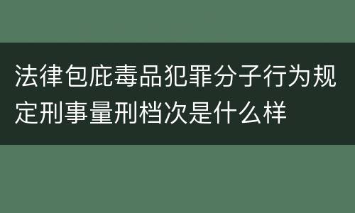 法律包庇毒品犯罪分子行为规定刑事量刑档次是什么样