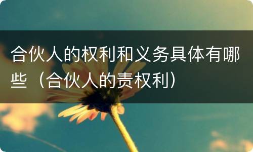 合伙人的权利和义务具体有哪些（合伙人的责权利）
