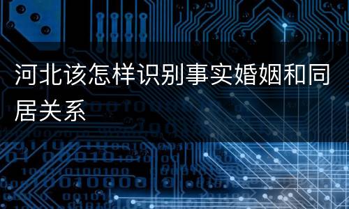 河北该怎样识别事实婚姻和同居关系
