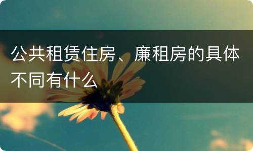 公共租赁住房、廉租房的具体不同有什么