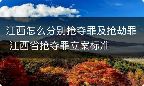 江西怎么分别抢夺罪及抢劫罪 江西省抢夺罪立案标准