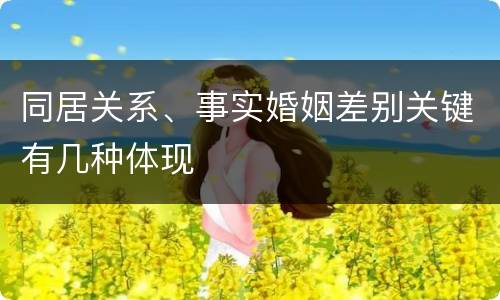 同居关系、事实婚姻差别关键有几种体现