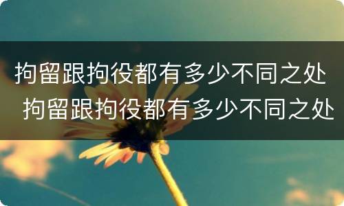 拘留跟拘役都有多少不同之处 拘留跟拘役都有多少不同之处呢