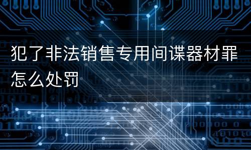 犯了非法销售专用间谍器材罪怎么处罚
