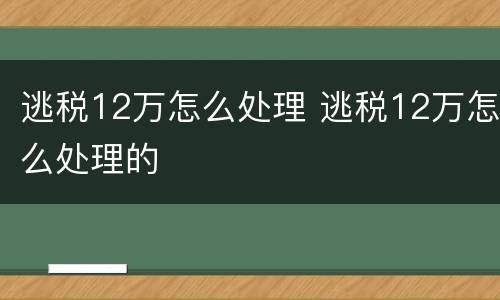 逃税12万怎么处理 逃税12万怎么处理的