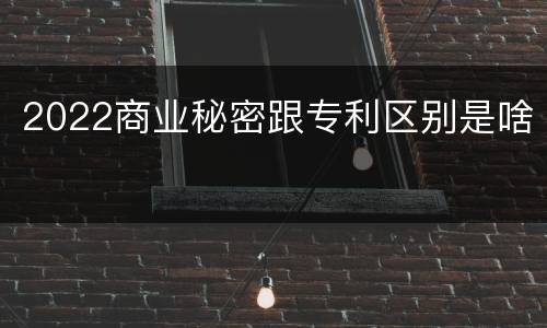 2022商业秘密跟专利区别是啥