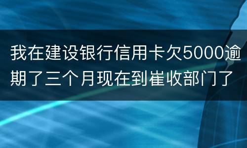 我在建设银行信用卡欠5000逾期了三个月现在到崔收部门了他们要起诉我应该怎么办