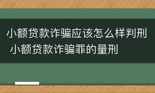 小额贷款诈骗应该怎么样判刑 小额贷款诈骗罪的量刑
