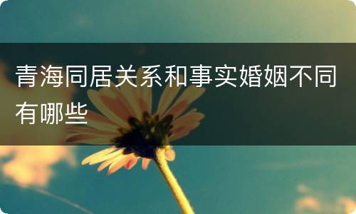 青海同居关系和事实婚姻不同有哪些