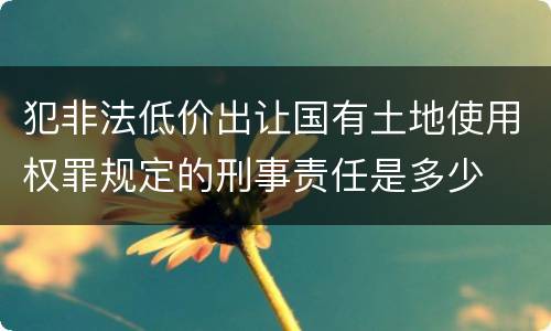犯非法低价出让国有土地使用权罪规定的刑事责任是多少