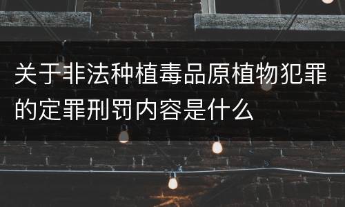 关于非法种植毒品原植物犯罪的定罪刑罚内容是什么