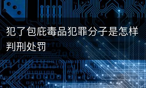 犯了包庇毒品犯罪分子是怎样判刑处罚