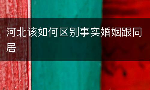 河北该如何区别事实婚姻跟同居