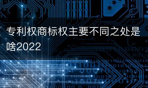 专利权商标权主要不同之处是啥2022