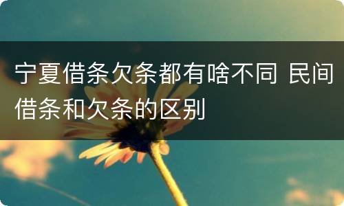 宁夏借条欠条都有啥不同 民间借条和欠条的区别