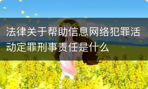 法律关于帮助信息网络犯罪活动定罪刑事责任是什么