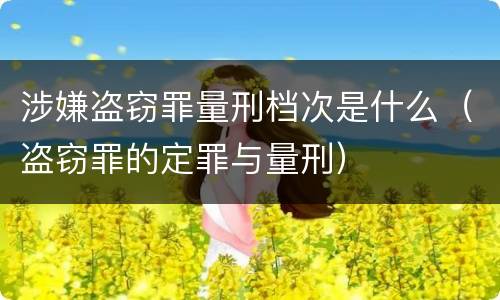 涉嫌盗窃罪量刑档次是什么（盗窃罪的定罪与量刑）