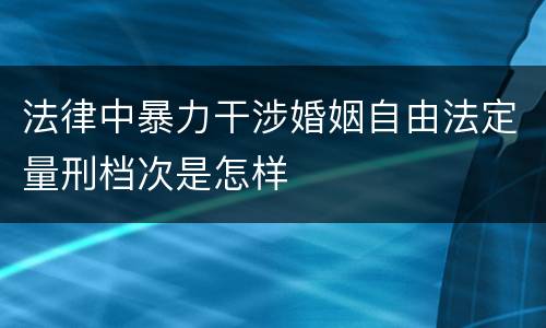 法律中暴力干涉婚姻自由法定量刑档次是怎样