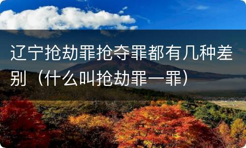 辽宁抢劫罪抢夺罪都有几种差别（什么叫抢劫罪一罪）