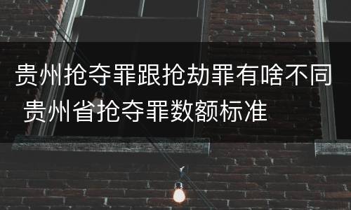 贵州抢夺罪跟抢劫罪有啥不同 贵州省抢夺罪数额标准