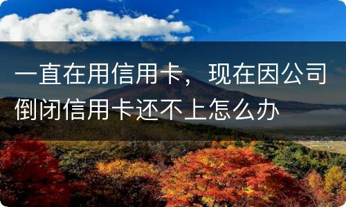 一直在用信用卡，现在因公司倒闭信用卡还不上怎么办