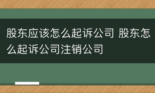 股东应该怎么起诉公司 股东怎么起诉公司注销公司