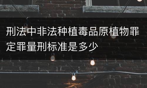 刑法中非法种植毒品原植物罪定罪量刑标准是多少