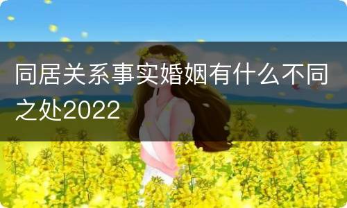 同居关系事实婚姻有什么不同之处2022