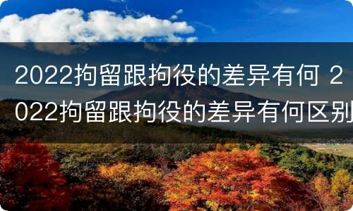 2022拘留跟拘役的差异有何 2022拘留跟拘役的差异有何区别
