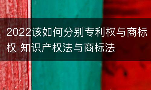 2022该如何分别专利权与商标权 知识产权法与商标法
