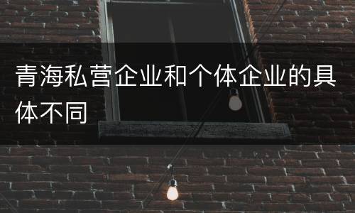 青海私营企业和个体企业的具体不同