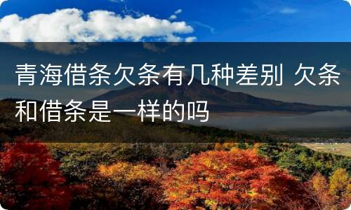 青海借条欠条有几种差别 欠条和借条是一样的吗