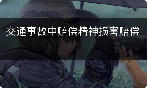 交通事故中赔偿精神损害赔偿