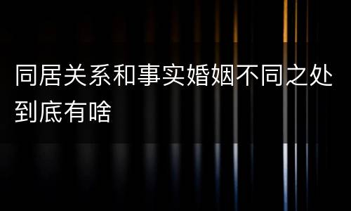 同居关系和事实婚姻不同之处到底有啥