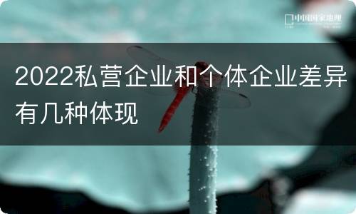 2022私营企业和个体企业差异有几种体现