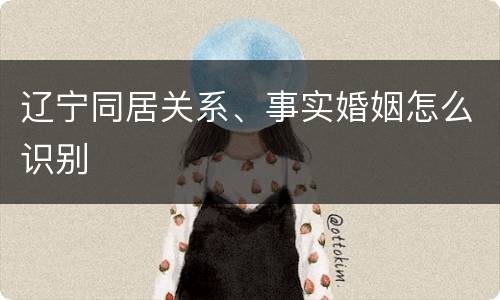 辽宁同居关系、事实婚姻怎么识别