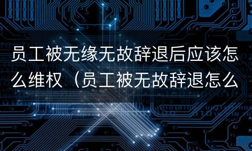 员工被无缘无故辞退后应该怎么维权（员工被无故辞退怎么赔偿标准）