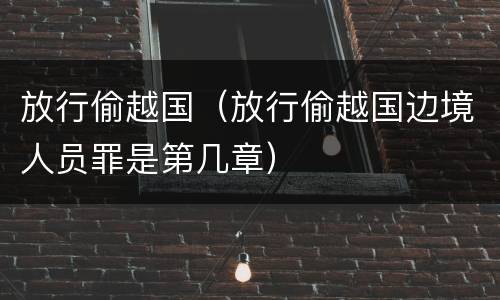 放行偷越国（放行偷越国边境人员罪是第几章）
