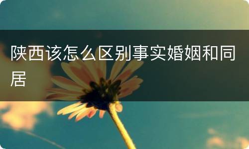 陕西该怎么区别事实婚姻和同居