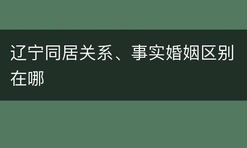 辽宁同居关系、事实婚姻区别在哪