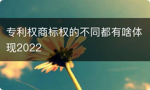 专利权商标权的不同都有啥体现2022
