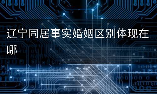 辽宁同居事实婚姻区别体现在哪