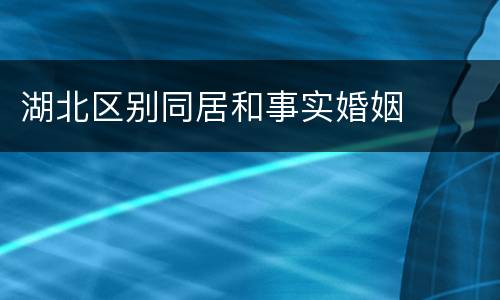 湖北区别同居和事实婚姻