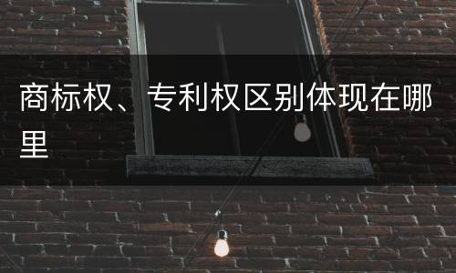 商标权、专利权区别体现在哪里