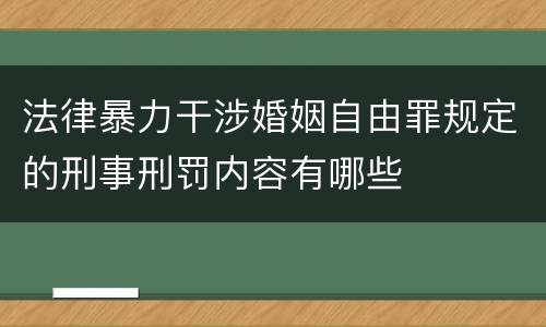 法律暴力干涉婚姻自由罪规定的刑事刑罚内容有哪些