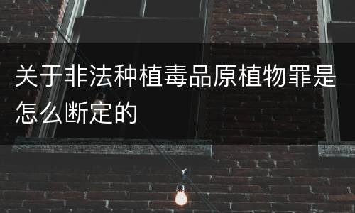 关于非法种植毒品原植物罪是怎么断定的