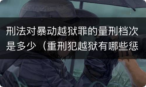 刑法对暴动越狱罪的量刑档次是多少（重刑犯越狱有哪些惩罚）