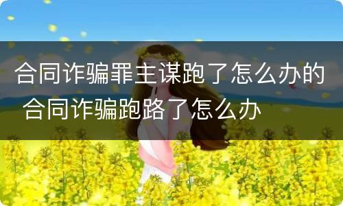 合同诈骗罪主谋跑了怎么办的 合同诈骗跑路了怎么办