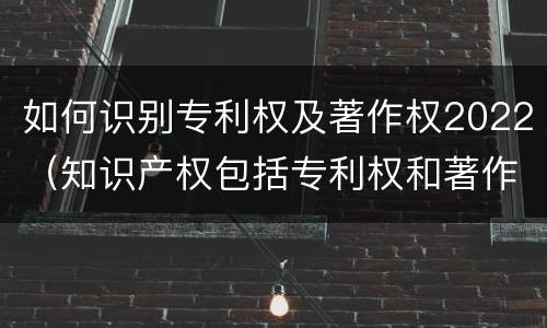 如何识别专利权及著作权2022（知识产权包括专利权和著作权吗）