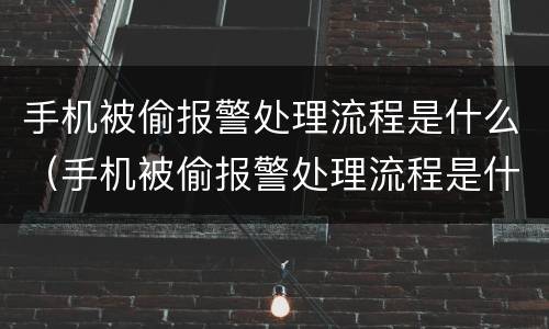 手机被偷报警处理流程是什么（手机被偷报警处理流程是什么样的）